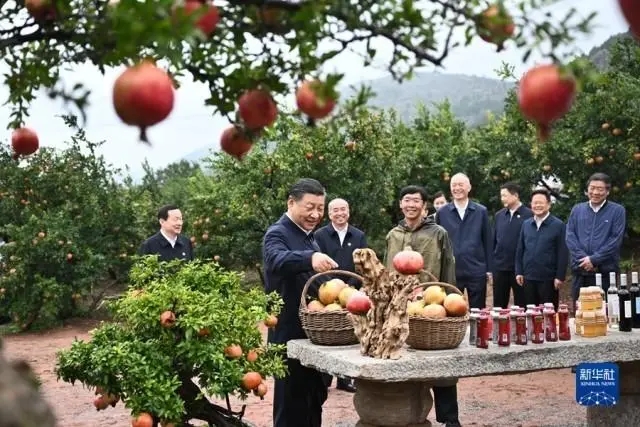 习近平到峄城冠世榴园石榴种质资源库考察