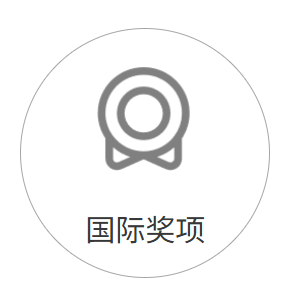 国际奖项